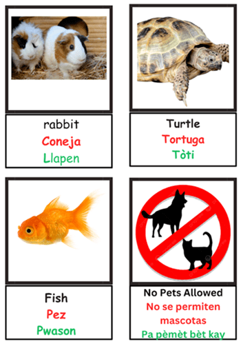 animals labelled in three languages